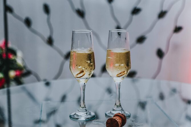 Private Tour to the best Champagne Wineries from Paris - A Highly Rated Tour with a Strong Track Record