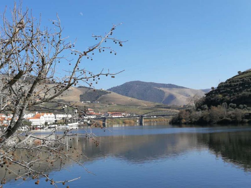 Private Tour to the Douro Valley - Key Points