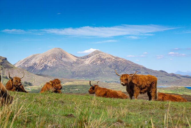 Private Tour to the Famous Glenfinnan, Glencoe & More, Inverness - Harry Potters Hagrids Hut Filming Location