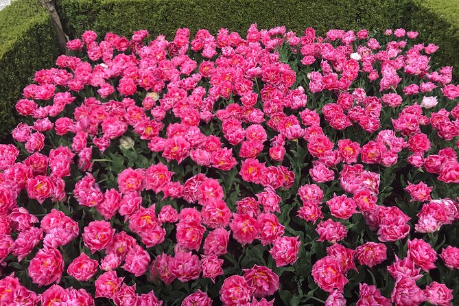 Private Tour to the Keukenhof and Tulip Fields - Value and Practical Considerations