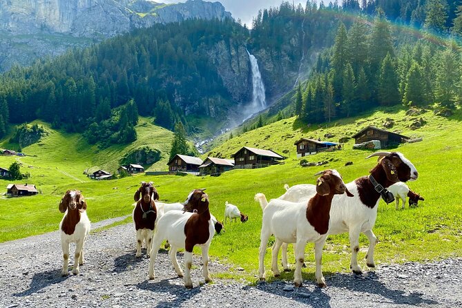 Private tour to the most breathtaking insider spots in Switzerland (1 day) - Key Points