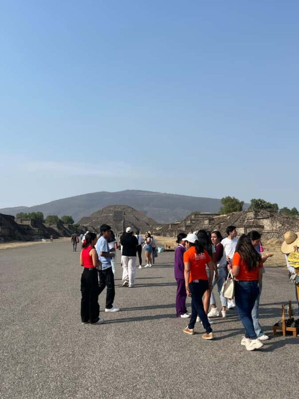 Private tour to the Pyramids of Teotihuacan, leaving from Mexico City. - Customizable Itinerary and Walk Length