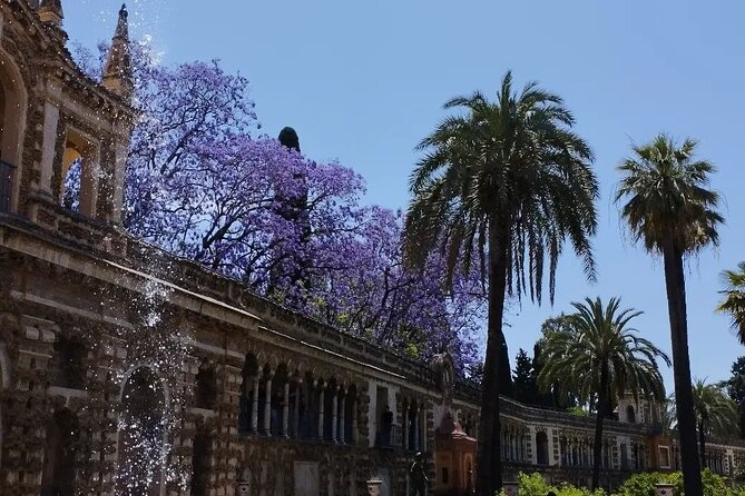 Private tour to the Royal Palace. - Starting Point and Meeting Details in Seville