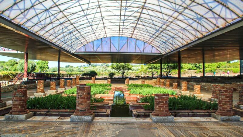 Private Tour to the University of Coimbra and an Roman city - Cost and Booking Details