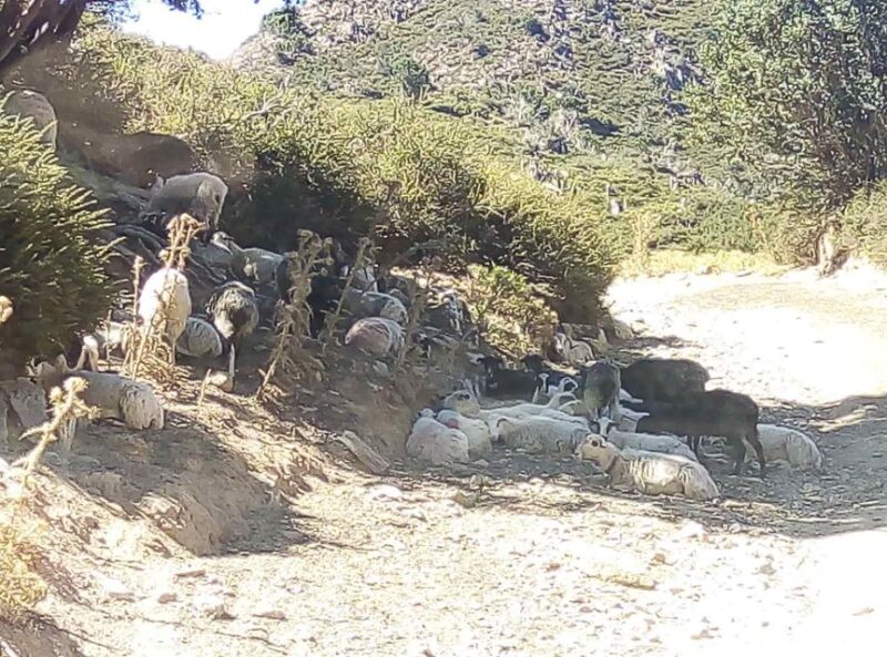 Private Tour to The White Mountains & Samaria from Above - Practicalities: Group Size, Logistics, and Weather Considerations