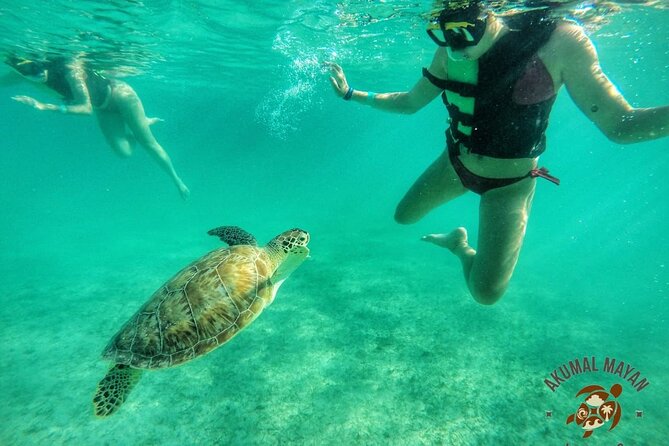 Private Tour to Tulum and Swimming with Turtles in Akumal - Final Thoughts on the Tulum and Akumal Tour