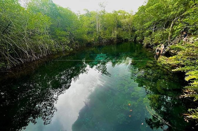 Private Tour to Tulum Cenotes Sac Actun - Snorkeling in Crystal Waters: Experience the Underwater Beauty