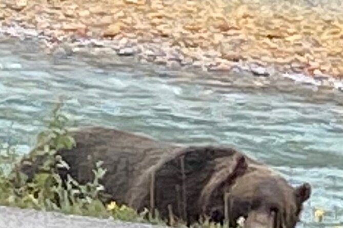 Private Tour Transportation Driver Guide of Banff! - Return to Calgary: Relaxed End to a Full Day