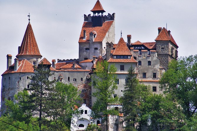 Private Tour: Transylvanian Castles and Brasov's Medieval Old Town - Gothic Charm at the Black Church in Brasov