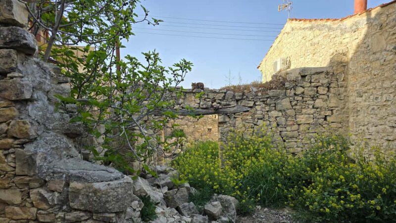 PRIVATE TOUR | Troodos Mountain: Waterfall, Villages & Lunch - Scenic Drive and Optional Additional Stops