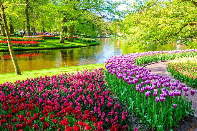 Private Tour Tulip Gardens (Keukenhof) and Dutch highlights - Afternoon Options: Dutch Heritage and Iconic Landscapes