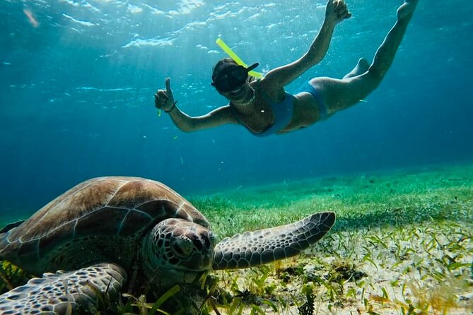 Private Tour Turtles Coral Reef Cenote Beach All inclusive - An Exciting Half-Day Adventure in Tulum for Water Lovers