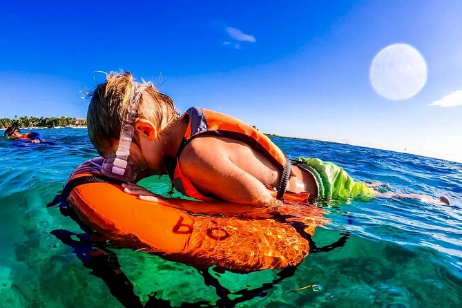 Private Tour Turtles Coral Reef Cenote Beach All inclusive - Key Points