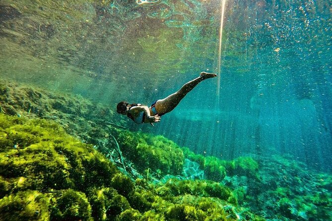 Private Tour Turtles Coral Reef Cenote Beach All inclusive - Dining at Jungle Fish Beach Club: Relaxed Mexican Flavors