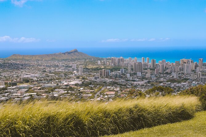 PRIVATE TOUR-Ultimate Circle Island Tour of Oahu - Sampling Local Flavors at Tropical Farms and Macadamia Nut Outlets