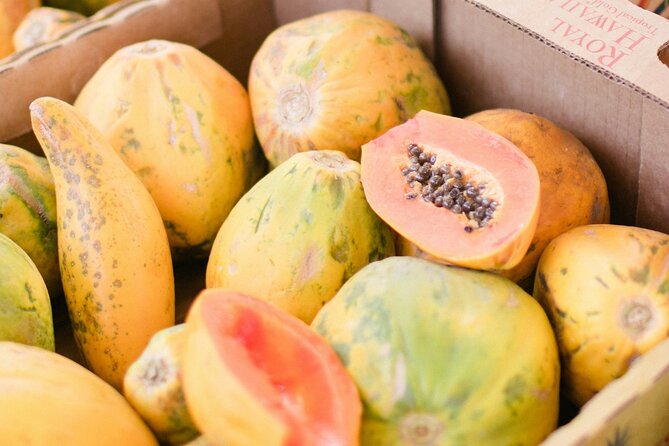 PRIVATE TOUR-Ultimate Circle Island Tour of Oahu - Exploring the Charming Town of Haleiwa