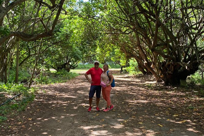 PRIVATE TOUR-Ultimate North Shore Experience - Walking Through Waimea Valley and Visiting Waimea Falls