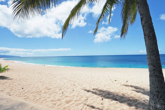 PRIVATE TOUR-Ultimate North Shore Experience - Exploring Haleiwa Town’s Laid-back Charm