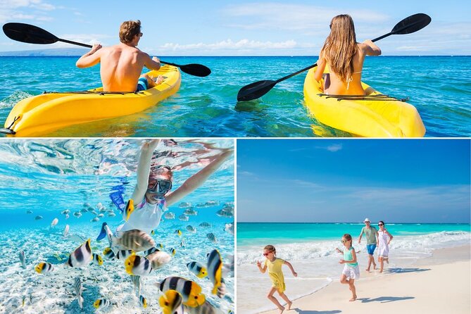 PRIVATE TOUR-Ultimate North Shore Experience - Kawela Bay’s Scenic Beauty and Turtle Watching