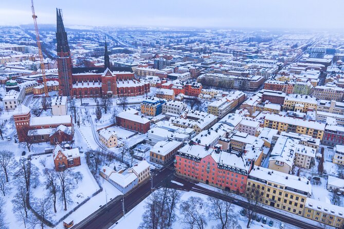 Private Tour Uppsala & Sigtuna from Stockholm - Who Should Choose This Tour?