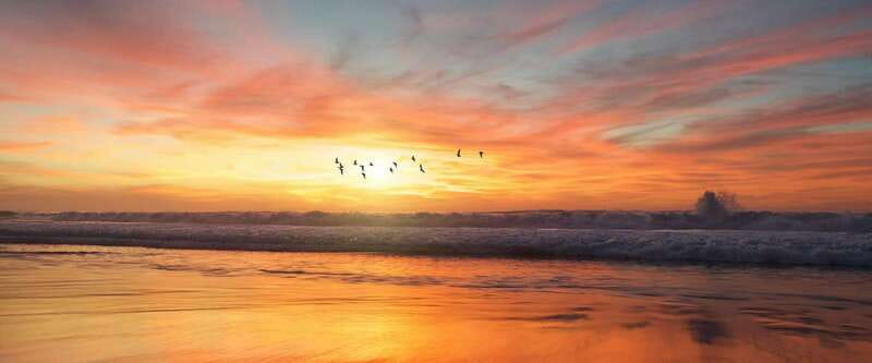 Private tour Uxmal Ruins, Chocolate Museum plus Cenote - The Chocolate Museum: A Sensory Journey