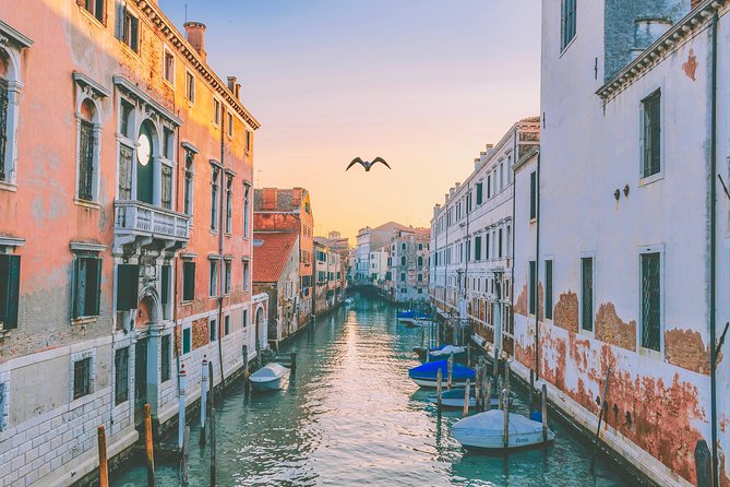Private Tour: Venice Art and Architecture Walking Tour - Practical Details and Accessibility