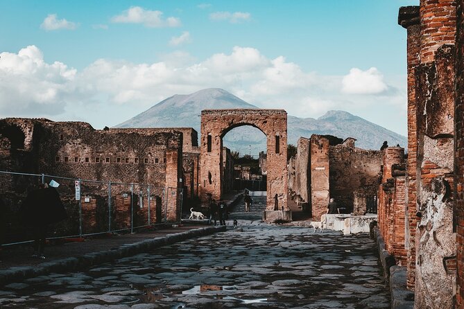 Private Tour Vesuvius Herculaneum and Pompeii From Naples - Key Points