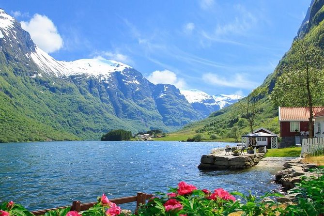 Private tour - Viking Village, Nærøyfjord Cruise and Flåm Railway - Exploring Aurlandsfjord and Flåm Village