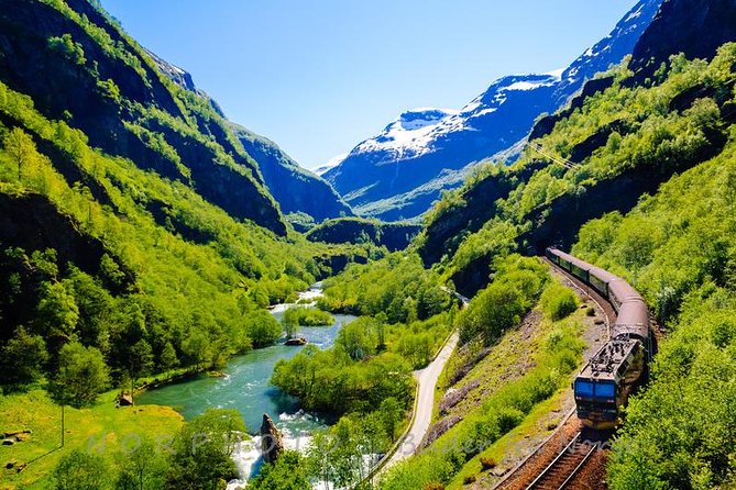Private tour - Viking Village, Nærøyfjord Cruise and Flåm Railway - Riding the World-Renowned Flåm Railway