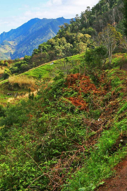 Private Tour VIP - Key Points