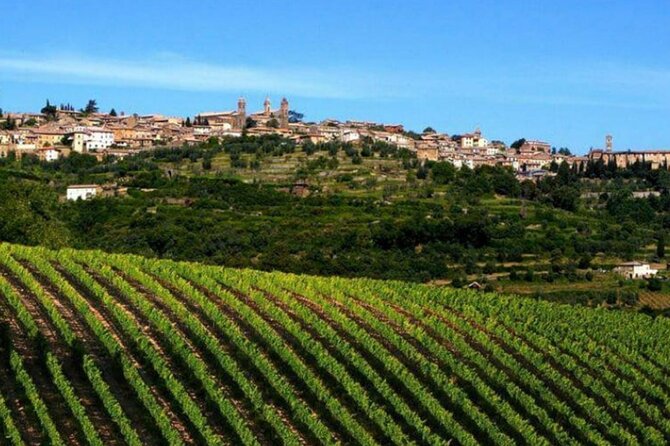 Private tour Wine and cheese a perfect combinations val 'Orcia - An Authentic Taste of Tuscany’s Wine and Cheese Heritage