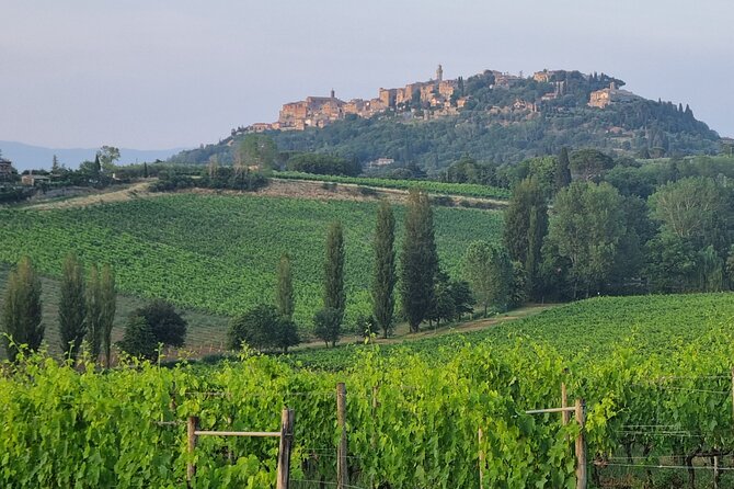 Private tour Wine and cheese a perfect combinations val 'Orcia - Scenic Drives and Iconic Tuscan Landscapes