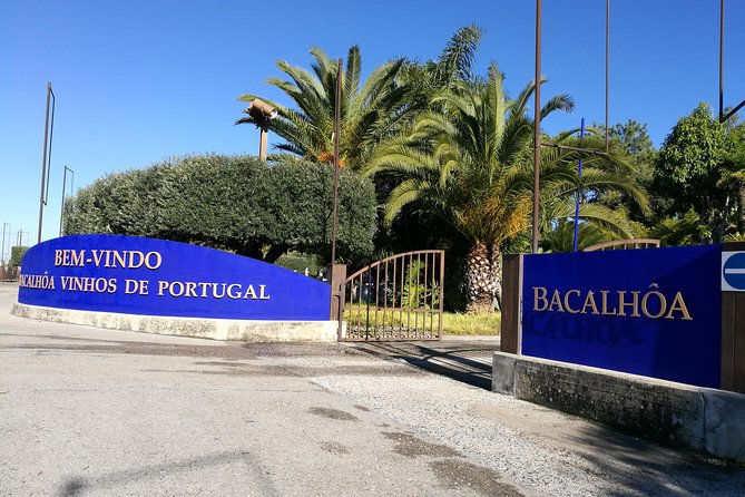 PRIVATE TOUR WINE TASTING QUINTA BACALHÔA & JOSÉ MARIA FONSECA (Setubal Region) - Visiting Setubal’s Wine Country: An Introduction