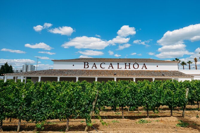 PRIVATE TOUR WINE TASTING QUINTA BACALHÔA & JOSÉ MARIA FONSECA (Setubal Region) - A Cultural Stop at the Portuguese Tile Factory