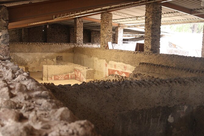 Private Tour with Archaeologist and VR Experience at Teotihuacan - Pacing, Accessibility, and Physical Requirements