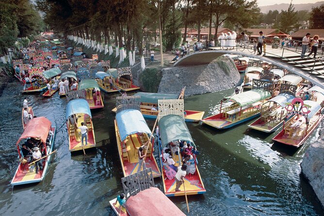 Private Tour: Xochimilco Coyoacan and Frida Kahlo's Museum and house - Key Points