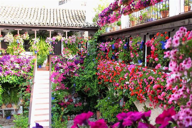 Private tourist route in Córdoba - Final Thoughts on the Córdoba Private Tour