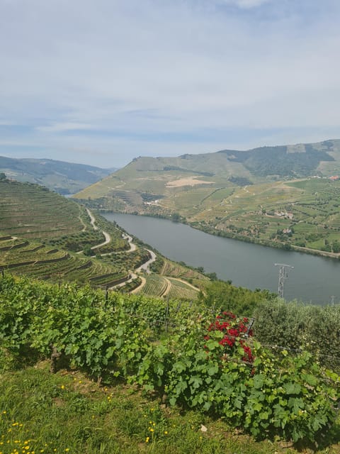 Private tours and transport amazing for you at DOURO Valley - Key Points