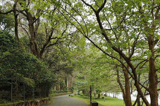 Private Tours Best spots (views) in So Miguel Island - Optional Hot Springs and the Personalization of the Tour