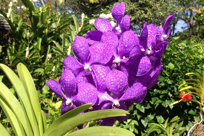 Private Tours - Key Points