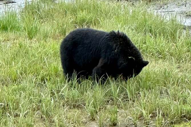 Private Tours for ease, comfort, flexibility, and relaxed pace! - Key Points