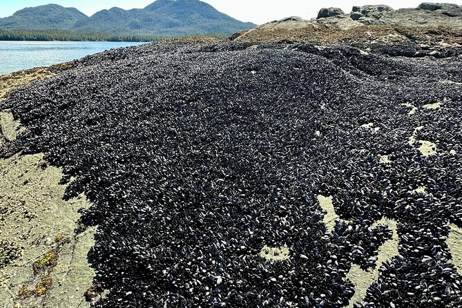 Private Tours for ease, comfort, flexibility, and relaxed pace! - Practical Details: Meeting Point and Group Flexibility