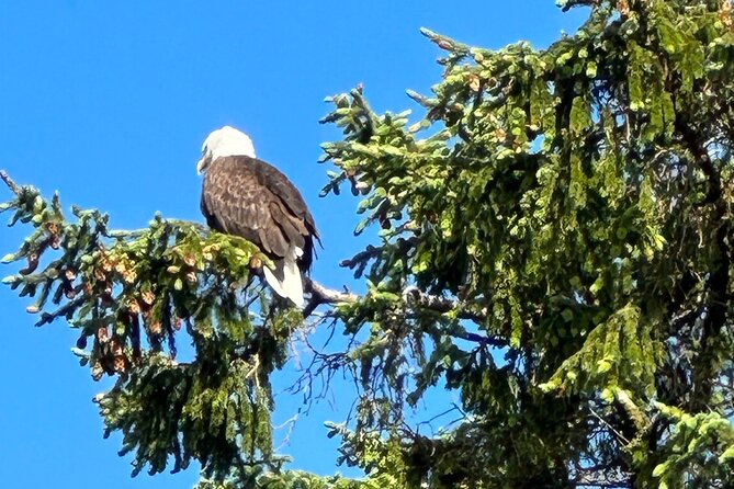 Private Tours for ease, comfort, flexibility, and relaxed pace! - Weather Considerations and Wildlife Sightings