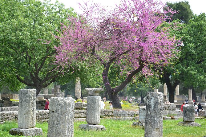 Private Tour:Visit of Agricultural Farm and free time in Olympia - Value and Inclusions of the Tour