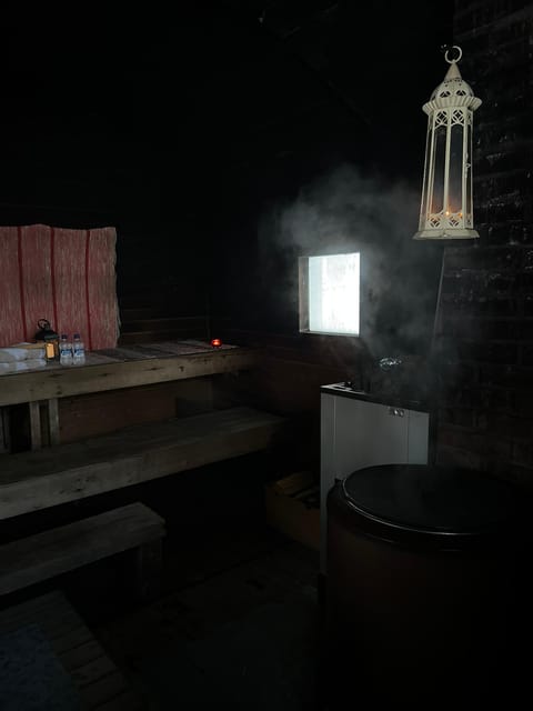 Private Traditional Sauna, Ice Dip and Dinner in the Wild - Enjoying the Lakeside Sauna and Ice Activities