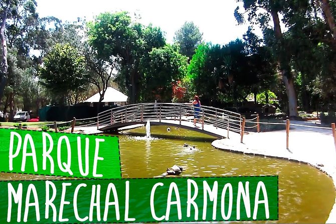 Private Transfer Aeroporto Lisboa - Cascais - Who Will Benefit Most from This Service?