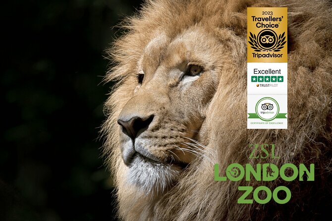 Private Transfer between London & Tilbury Cruise Terminal / Hotel - Key Points