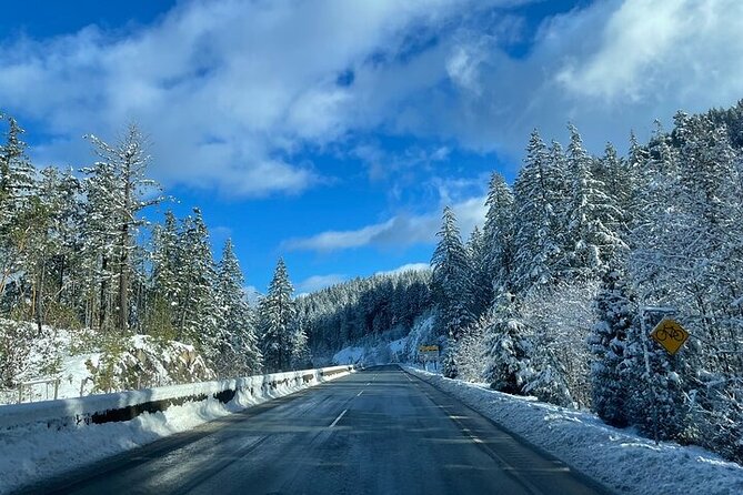 Private Transfer Between Vancouver Cruise and Seattle Airport - Customer Reviews: Reliability and Flexibility