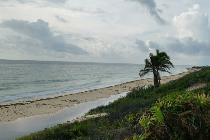 Private Transfer-Cancun Airport-Playa del Carmen One Way - Final Thoughts on the Cancun Airport to Playa del Carmen Private Transfer