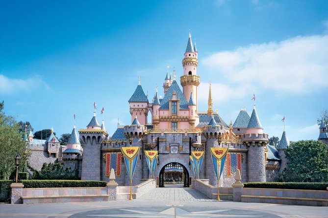Private Transfer: Disneyland Park or Hotel to Paris by Luxury Van - Why Choose This Private Disneyland-to-Paris Transfer?
